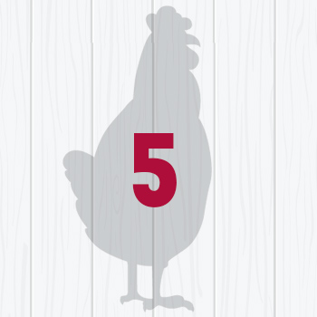 poultry silhouette with 5