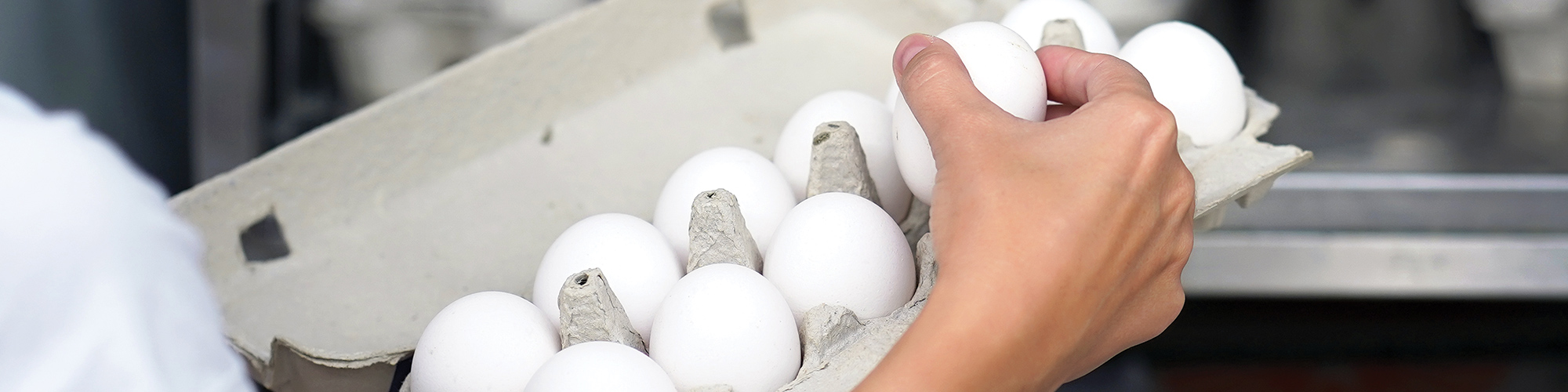 Why Are Eggs So Expensive In The US Arm Hammer Animal And Food   Eggprices Blog Header 2000x500 