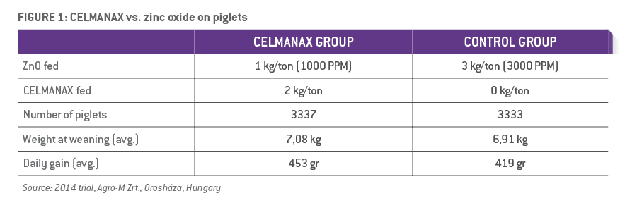 CELMANAX vs. zinc oxide on piglets chart