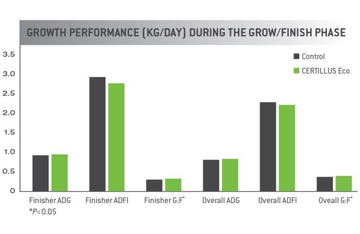 CHART: Growth Performance during the Grow-Finish Phase