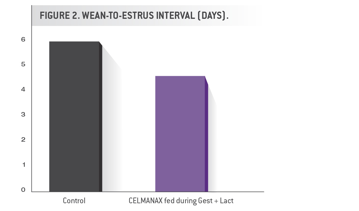 Wean to Estrus Interval (days) chart