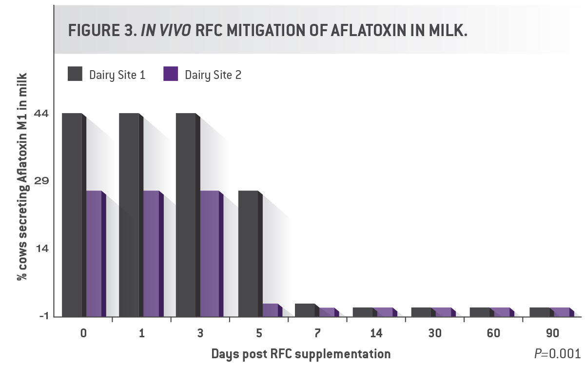In Vivo Celmanax mitigation of Aflatoxin in Milk