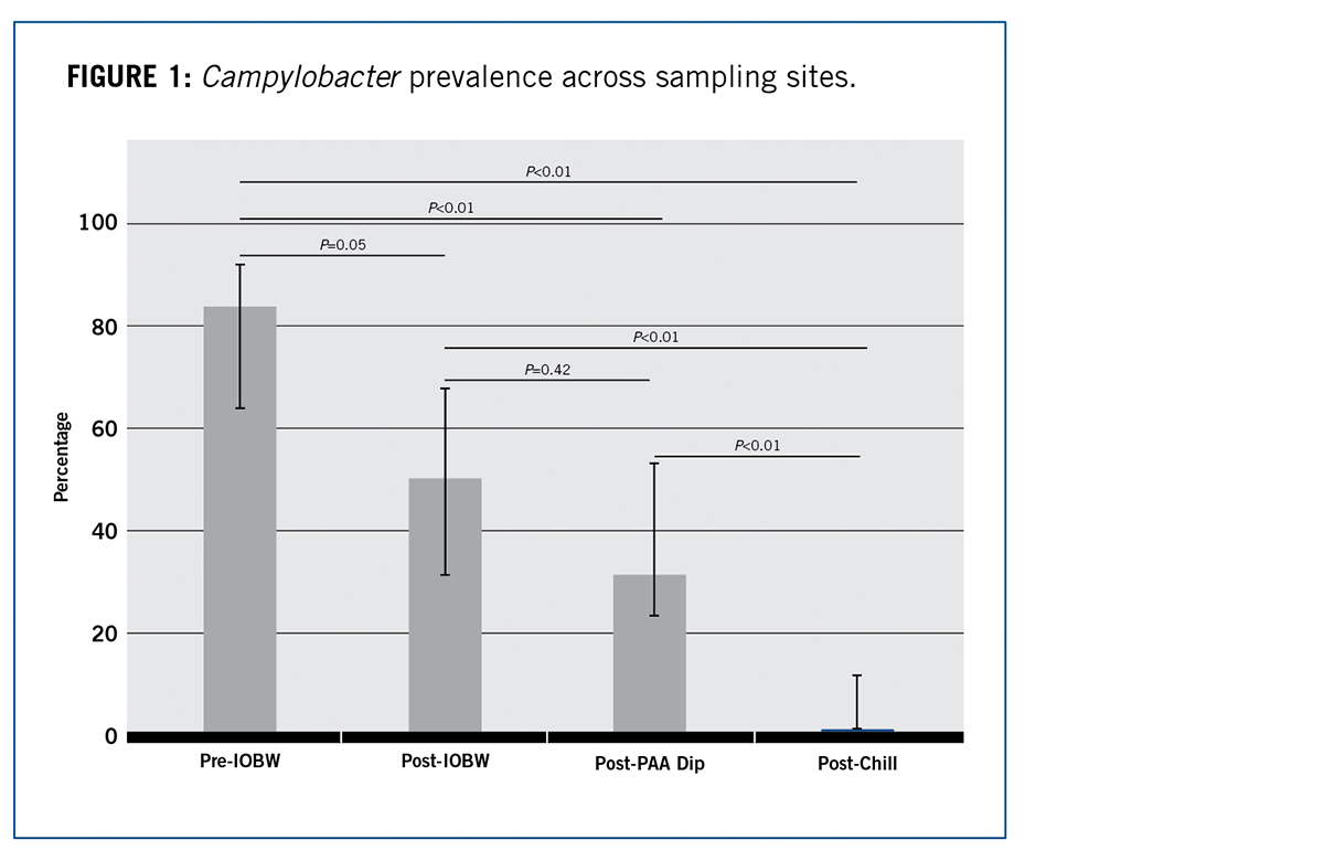 Campylobacter prevalance across sampling sites Chart