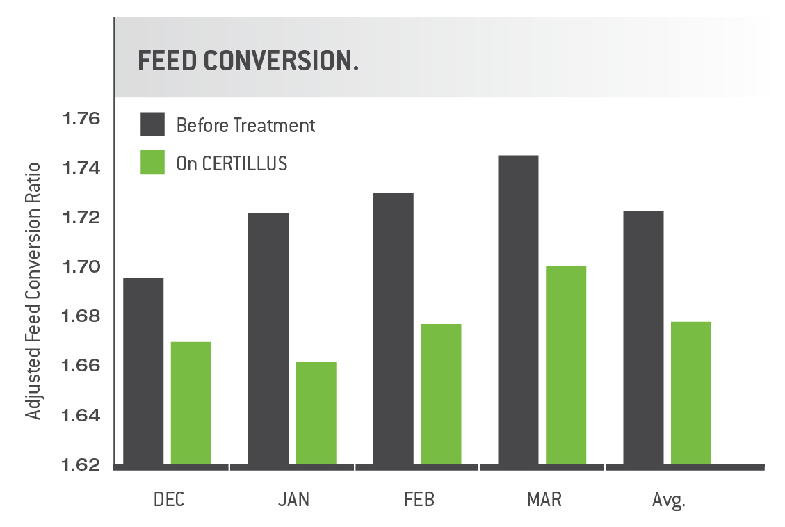 Feed Conversion Ratio Chart