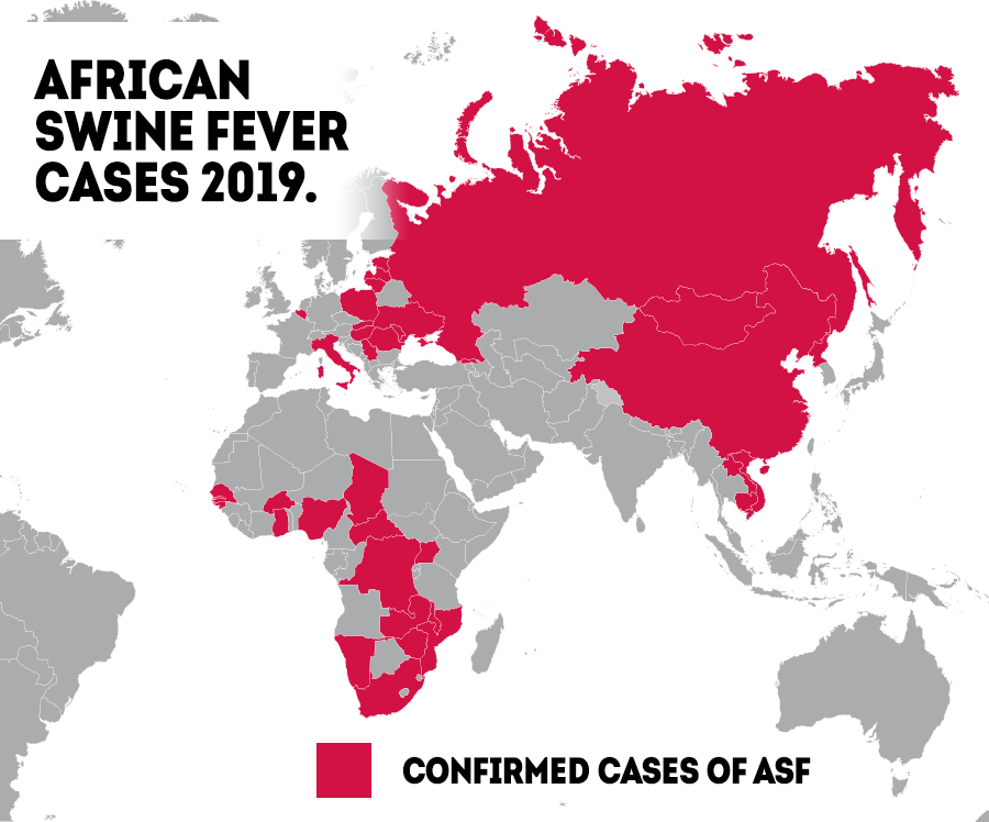 African Swine Fever Article Arm & Hammer Animal and Food Production