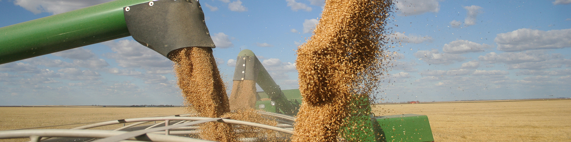 harvest