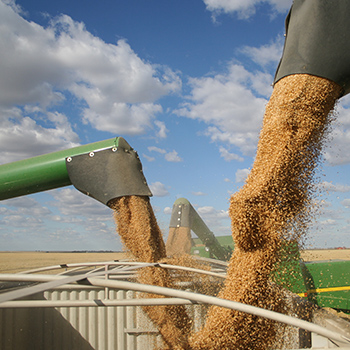 Tractor at harvest