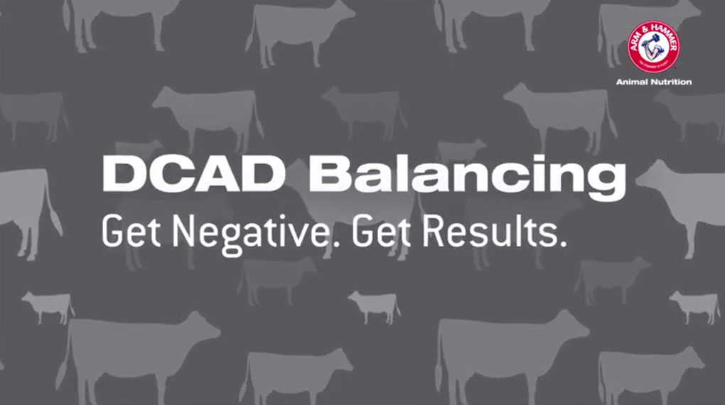 Negative DCAD Balancing