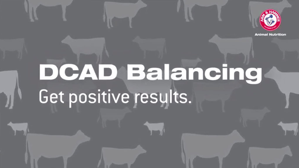 Positive DCAD Balancing