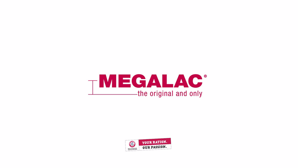 MEGALAC Video
