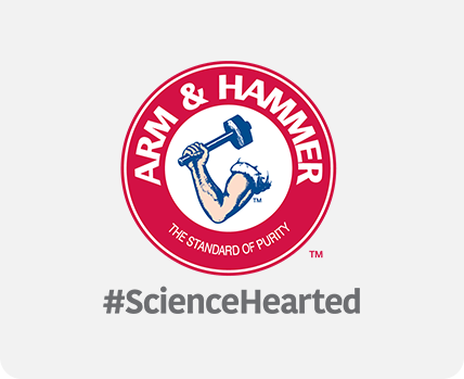 ARM AND HAMMER logo